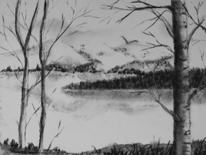 Alaskan Wilderness Project Image