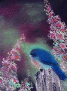 Baby Bluebird Project Image