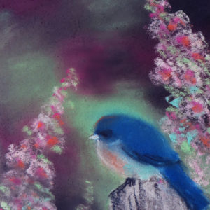Lessons in Soft Pastel: Baby Bluebird