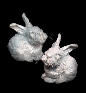 Baby Rabbit Project Image