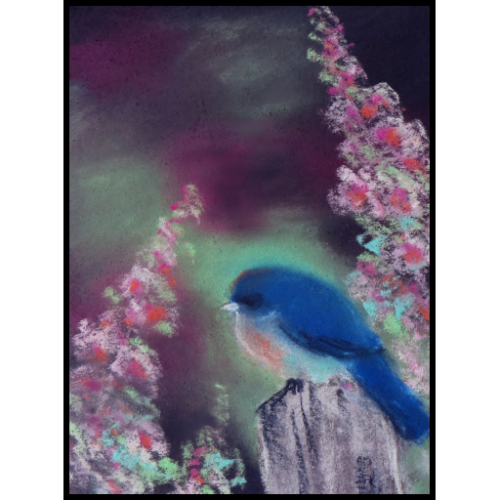 BabyBluebird-Icon