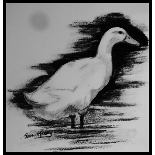 Discover 74+ duck sketch drawing - xkldase.edu.vn