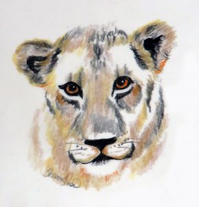 Lion Cub Project Image