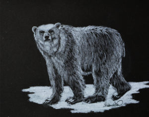 Polar Bear Project Image