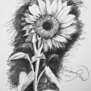 Lessons in Pencil: Sunflower