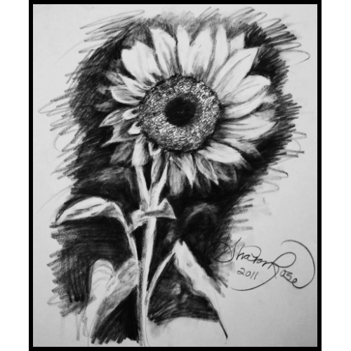 Sunflower-Icon