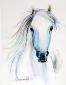 The General's Horse Project Image