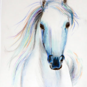 Lessons in Colored Pencil: The General’s Horse