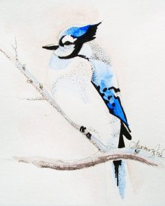 Blue Jay Project Image
