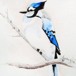 Lessons in Ink: Blue Jay
