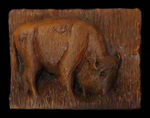 Buffalo Project Image