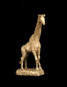 Tall as the Giraffe Project Image