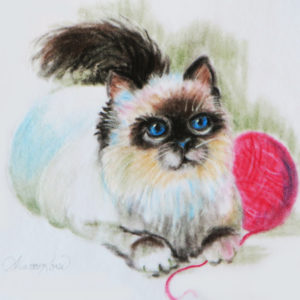 Lessons in Oil Pastel: Himalayan Kitten