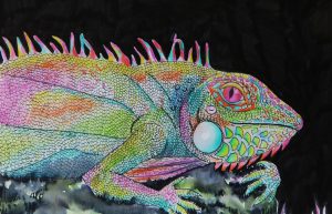 Iguana Project Image