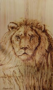 Noble Lion Project Image