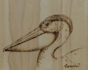 Pelican Project Image