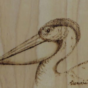 Lessons in Wood Burning: Pelican