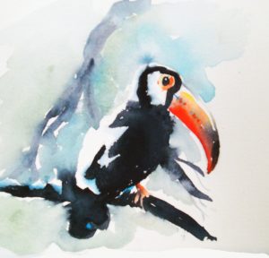 Toucan Project Image Watercolor