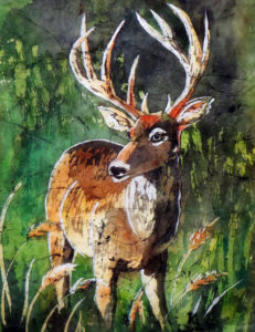 White-Tailed Buck Project Image