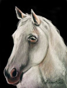 White Stallion Project Image
