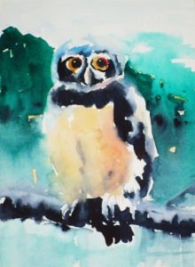 Wise as the Owl Watercolor Project Image