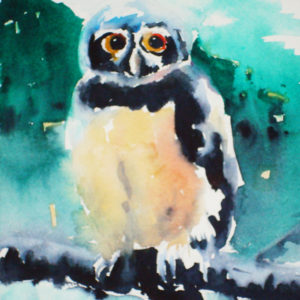 Lessons in Watercolor: Wise as an Owl