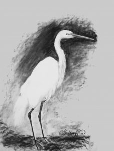 Stork Project Image