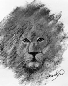 Dreaming of Africa Project Image