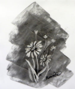 Field of Daisies Project Image