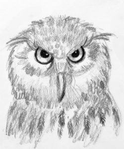 Hoot Owl Project Image