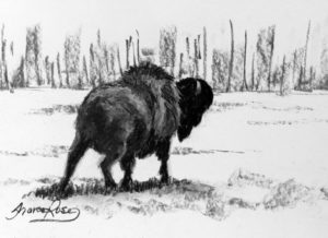 Prairie Buffalo Project Image