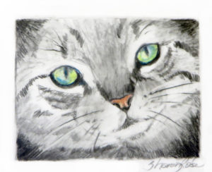 Tabby Cat Project Image