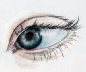 The Eye Project Downloadable Image