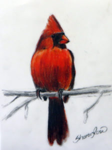 Winter Cardinal Project Image