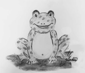 Mr Toad Project Image