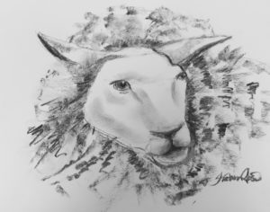 The Sheep Project Image