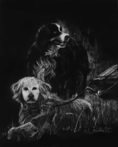 Canine Companions Project Image