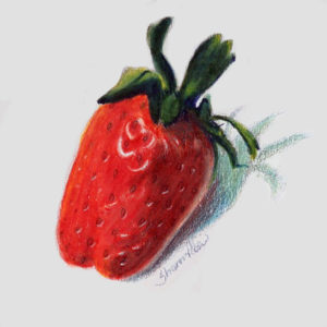 Freshly Picked Strawberry Project Image