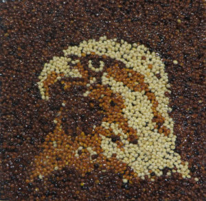 Eagle in Profile Project Image