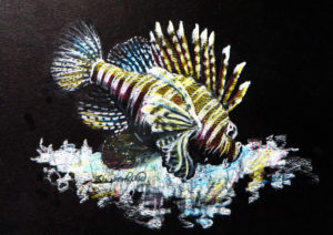 Lionfish Project Image