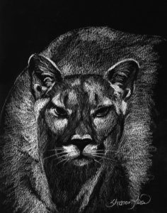 The Cougar Project Image