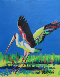 Okavango Stork Project Image