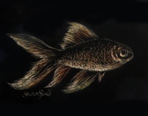 The Goldfish Project Image