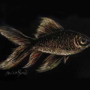 Lessons in Scratch Art: The Goldfish
