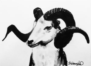 The Ram Project Image