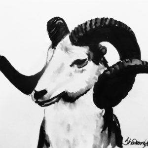 Lessons in Ink: The Ram