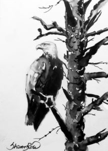 Alaskan Eagle Project Image