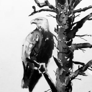 Lessons in Ink: Alaskan Eagle