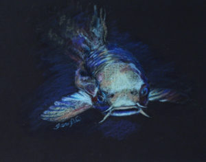 Catfish Project Image