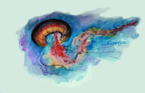 Jellyfish Project Image